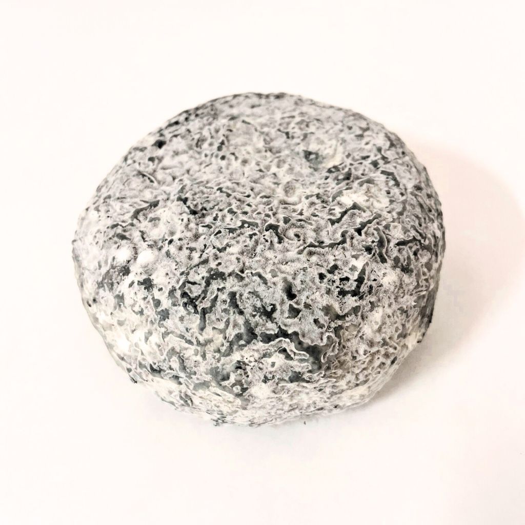Caprino Stagionato Affinato al Carbone Vegetale