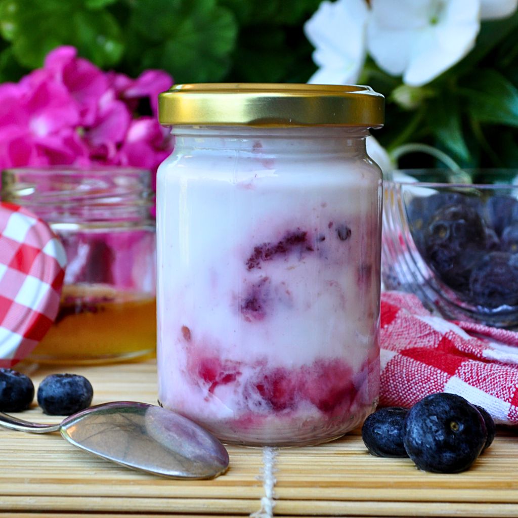 Yogurt di Capra con Frutti di Bosco Artigianale a Km 0 di Tera Nostra