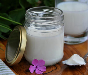 Panna cotta fresca